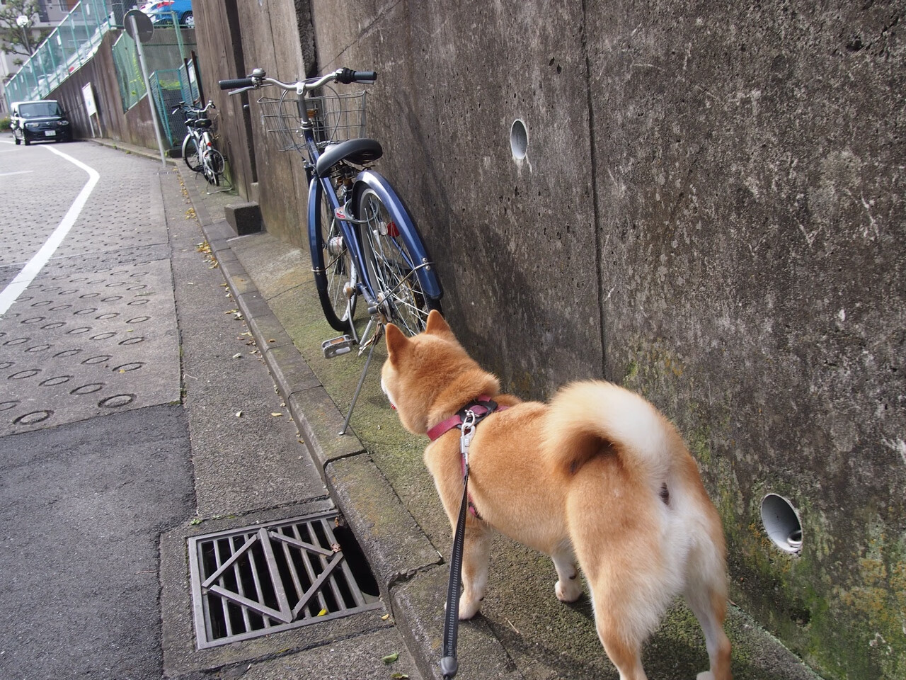 开云官方网站-“中超联赛官方合作伙伴阵容再升级，赛事商业价值再攀新高”，中超联赛参赛队伍