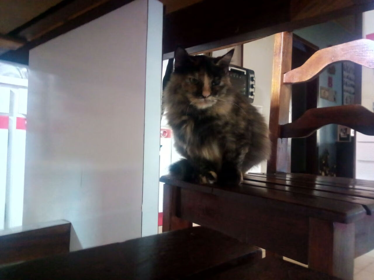 KAIYUN 中国大陆-战队技术交流活动成功举办，战队分工