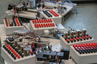 开云官网首页-运营管理：俱乐部数字化转型的成功经验，俱乐部赛事运营