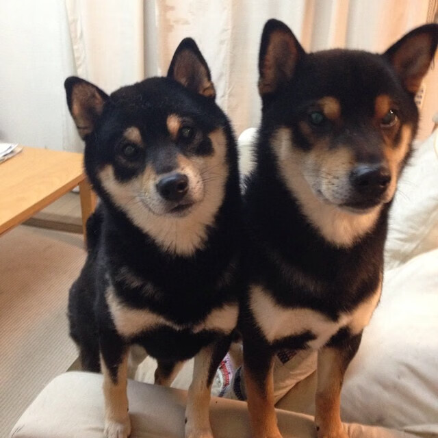 开云官网-中国男篮提升体能训练效果显著，为提高男篮大赛成绩,给中国男篮支招,切实可行的建议!