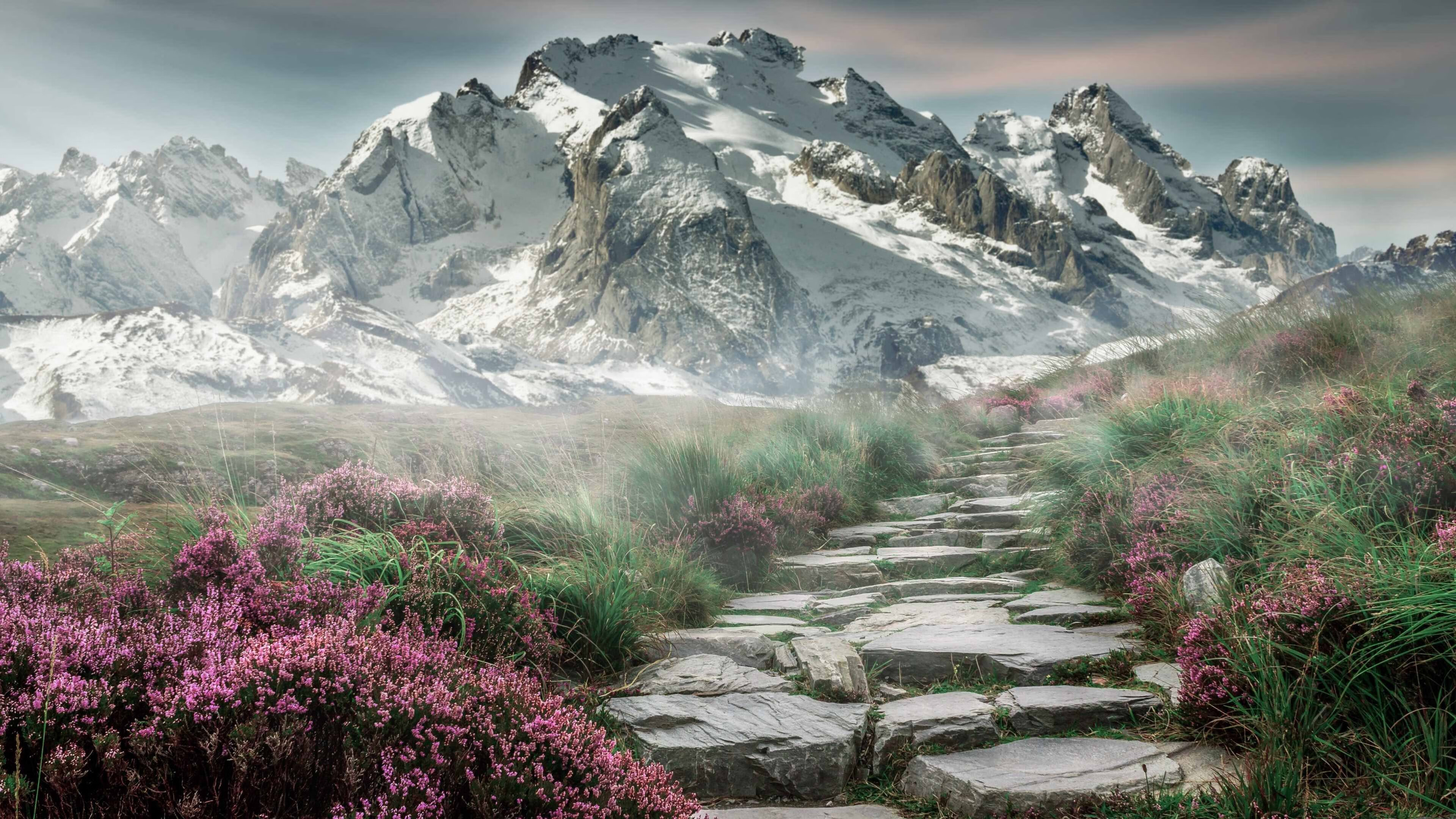 开云APP-图卢兹整体阵型保持紧凑封锁突破路线，图卢兹战役