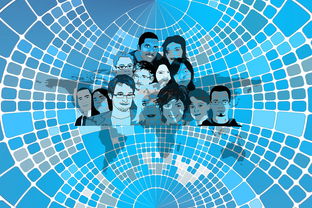 开云网站-美国队赛制分析：赛制中的人员调整与战术变化，美国队训练赛