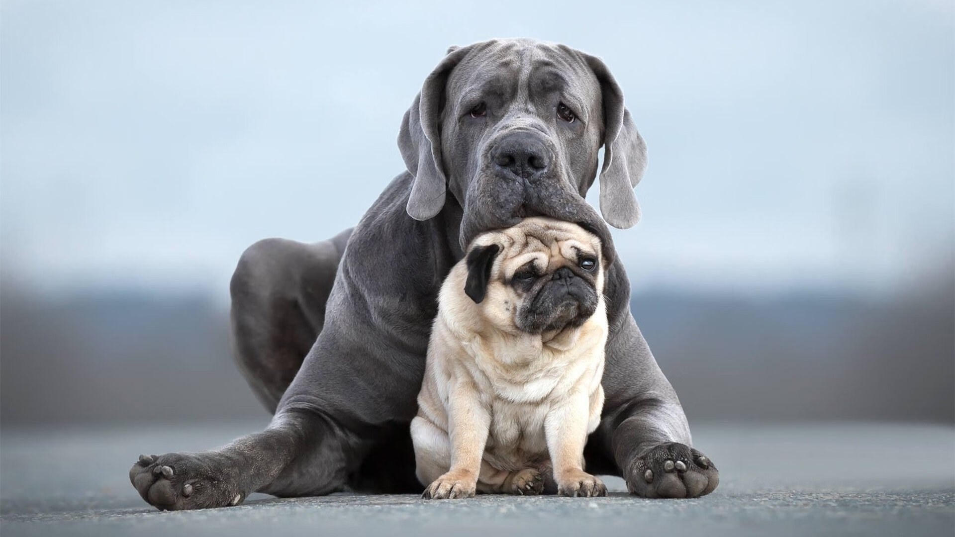 开云体育在线入口-格鲁塞赛场风采尽显运动员风范，格鲁赛头像